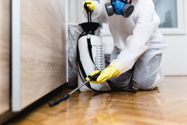 Best Pest Control Near Me  in Columbia, SC