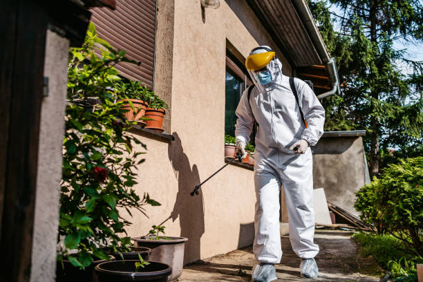 Best Flea Control Services  in Columbia, SC
