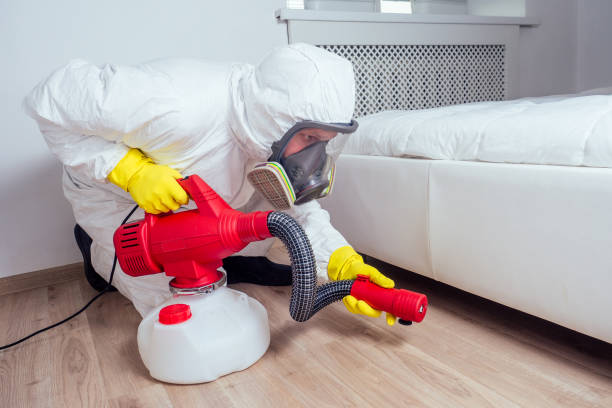 Pest Prevention Services in Columbia, SC