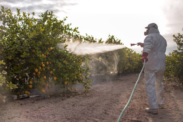 Wildlife Control Services in Columbia, SC