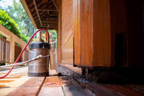 Best Ant Control Services  in Columbia, SC