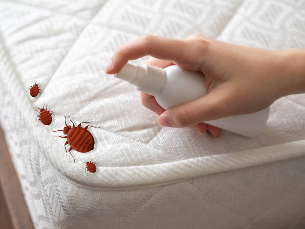 Best Affordable Pest Control Services  in Columbia, SC