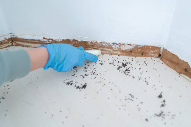 Best Bed Bug Extermination  in Columbia, SC