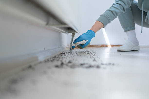 Professional Pest Control in Columbia, SC