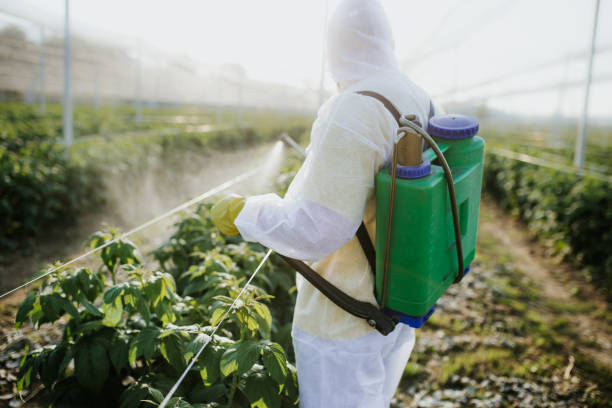 Columbia, SC Pest Control Company